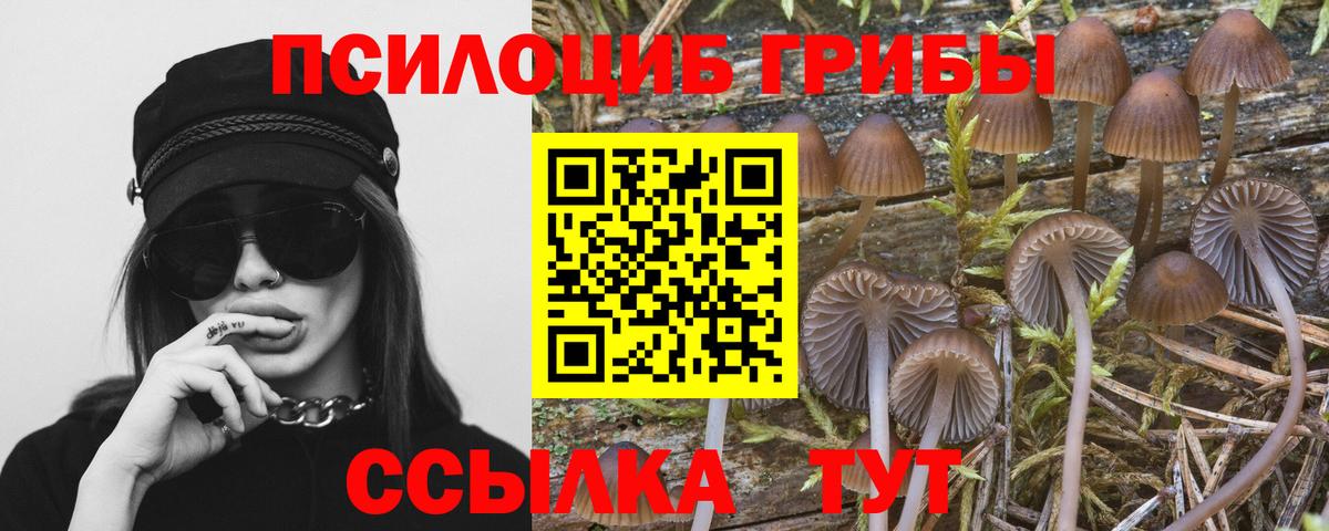 Галлюциногенные грибы мухоморы Лениногорск